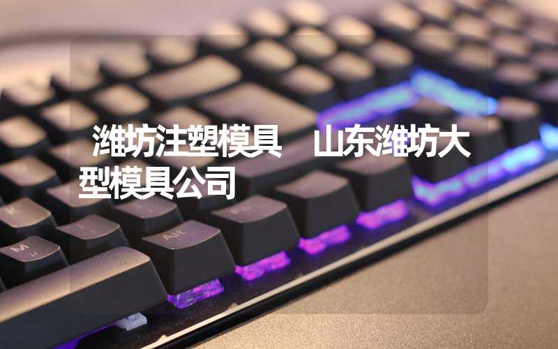 潍坊注塑模具 山东潍坊大型模具公司